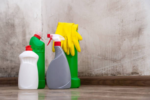 Best Biohazard Mold Removal  in , WI